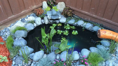 Heritage Tree of Life – A Permaculture Oasis, A unique self sustainable natural pond system. Complete with fish life and plants by Bhooma Homes (Vani Bahl)